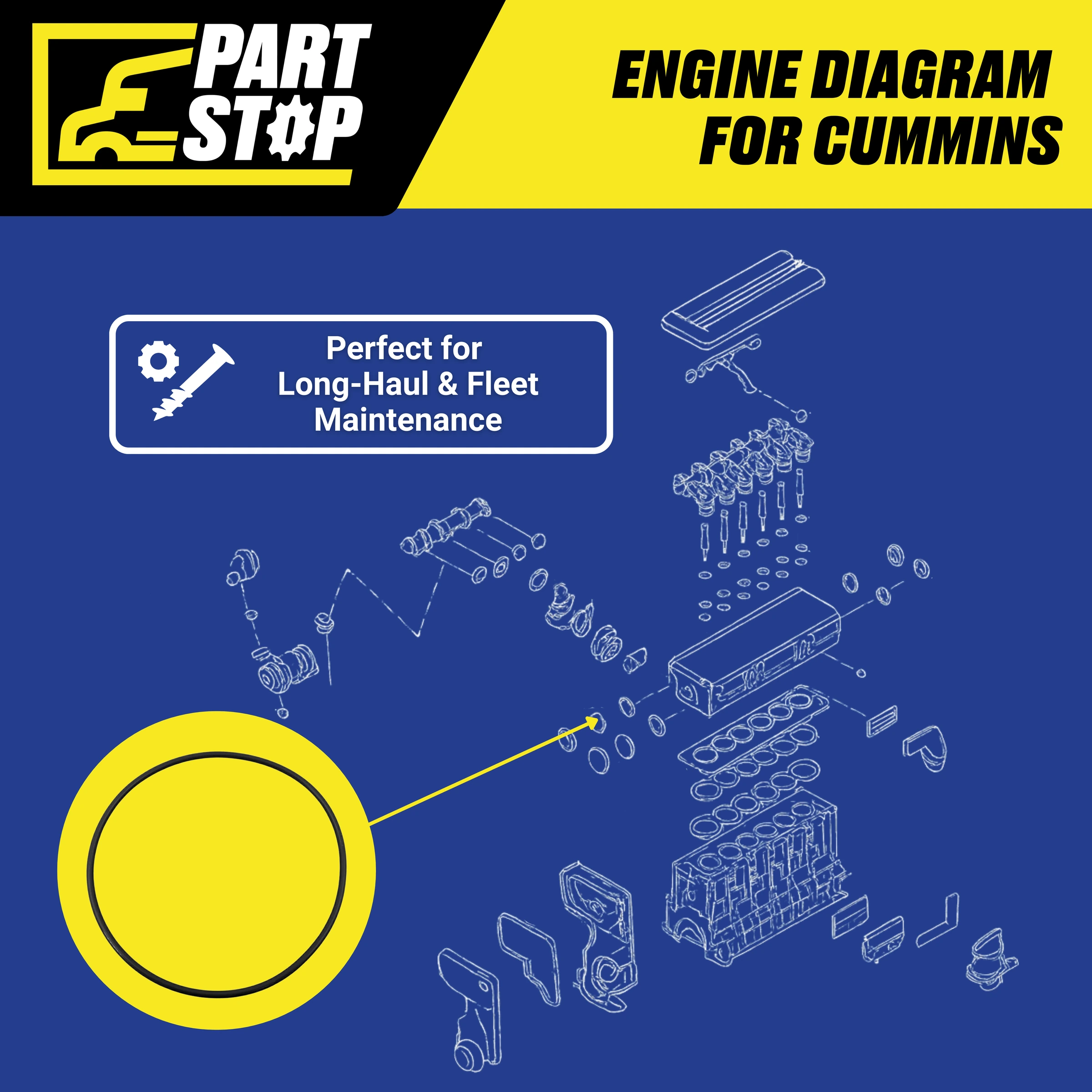 4299125 Camshaft O-Ring Seal Fits Cummins DD13 DD15 Diesel — infographic
